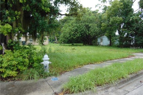 Land in Kissimmee, Florida № 1830042 - photo 4