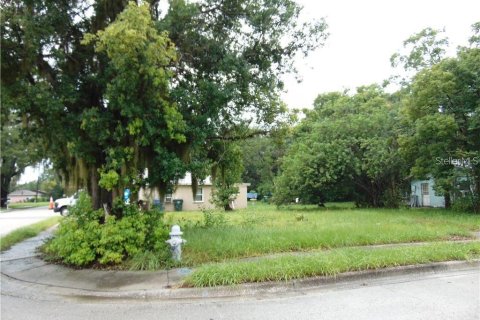 Land in Kissimmee, Florida № 1830042 - photo 3
