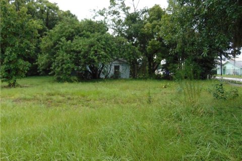 Land in Kissimmee, Florida № 1830042 - photo 5