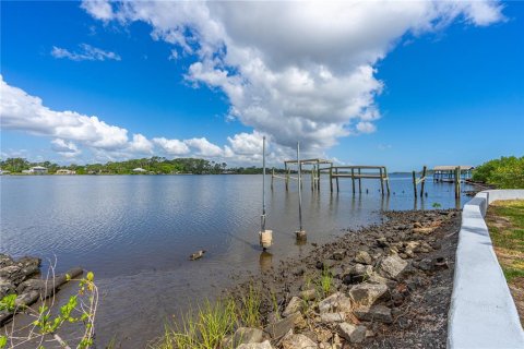 Terreno en venta en New Smyrna Beach, Florida № 1801527 - foto 3