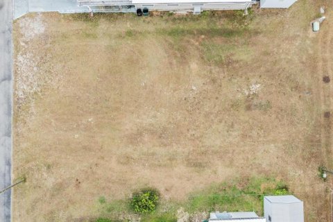 Terrain à vendre à Zephyrhills, Floride № 1535230 - photo 6