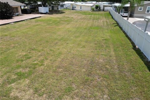 Land in Dundee, Florida № 1786415 - photo 7