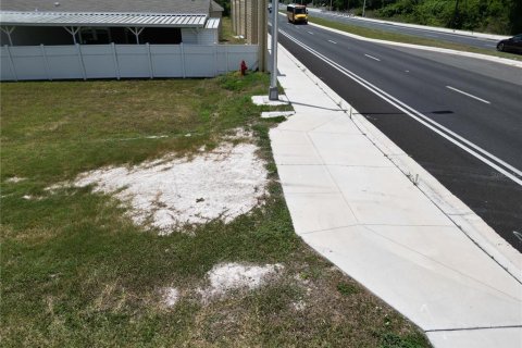 Land in Dundee, Florida № 1786415 - photo 8