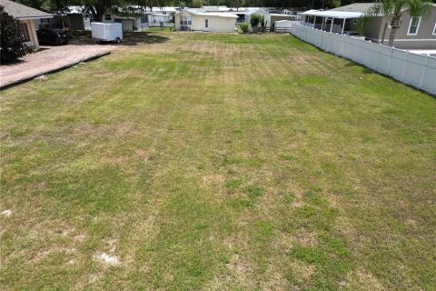 Land in Dundee, Florida № 1786415 - photo 5