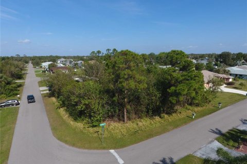 Land in Port Charlotte, Florida № 1554027 - photo 4