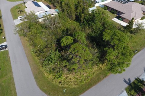 Land in Port Charlotte, Florida № 1554027 - photo 2