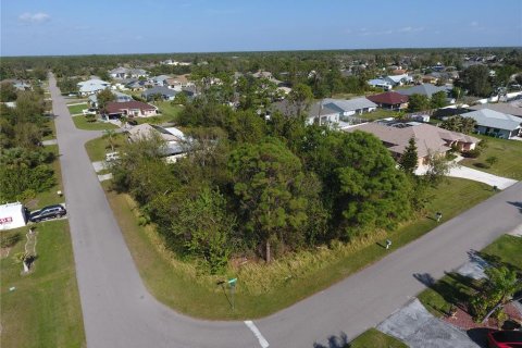 Land in Port Charlotte, Florida № 1554027 - photo 3