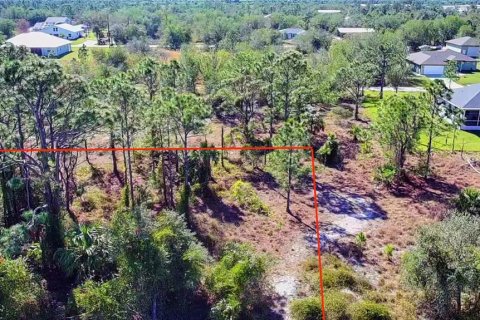 Land in Punta Gorda, Florida № 2161967 - photo 3