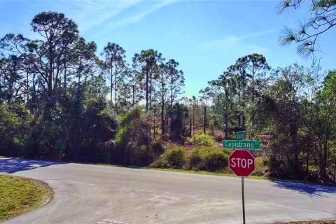 Land in Punta Gorda, Florida № 2161967 - photo 7