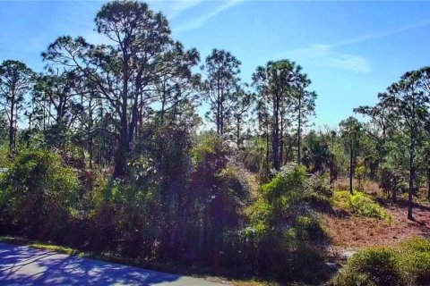 Land in Punta Gorda, Florida № 2161967 - photo 8