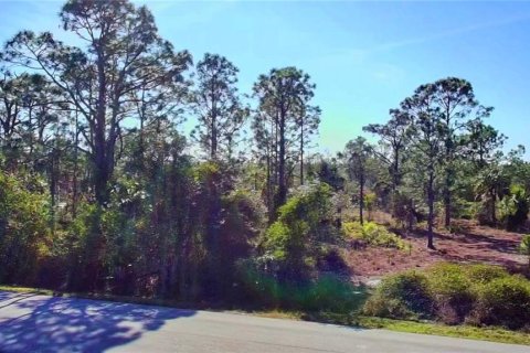 Land in Punta Gorda, Florida № 2161967 - photo 5