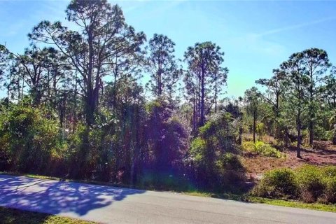 Land in Punta Gorda, Florida № 2161967 - photo 6