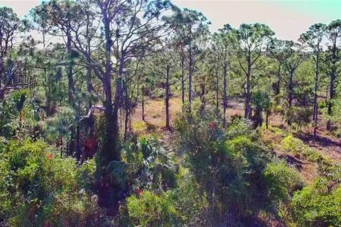 Land in Punta Gorda, Florida № 2161967 - photo 9