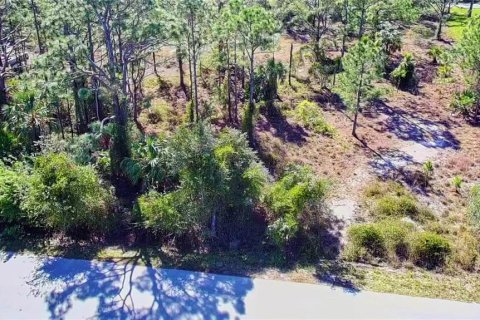 Land in Punta Gorda, Florida № 2161967 - photo 10