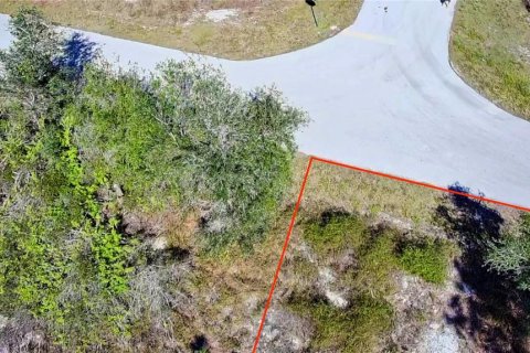 Land in Punta Gorda, Florida № 2161967 - photo 2