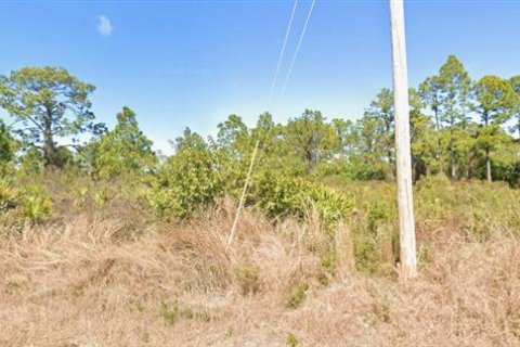 Land in Lehigh Acres, Florida № 2237236 - photo 2