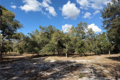 Land in Clewiston, Florida № 1997455 - photo 10