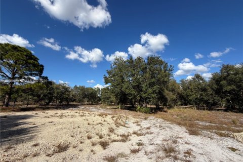 Land in Clewiston, Florida № 1997455 - photo 8