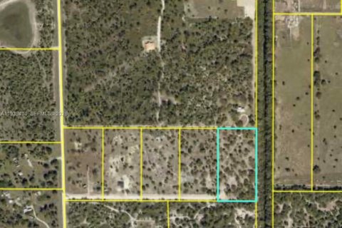 Land in Clewiston, Florida № 1997455