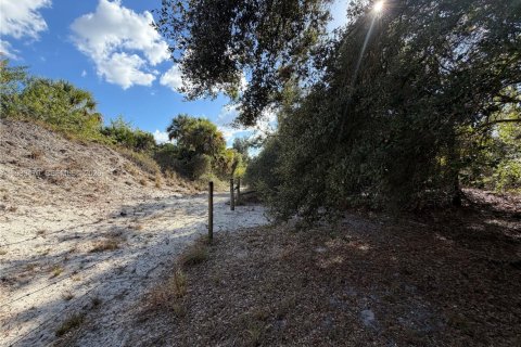 Land in Clewiston, Florida № 1997455 - photo 14