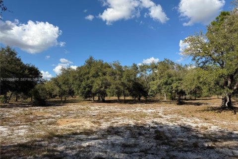 Land in Clewiston, Florida № 1997455 - photo 11