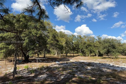 Land in Clewiston, Florida № 1997455 - photo 9
