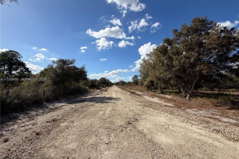 Land in Clewiston, Florida № 1997455 - photo 3