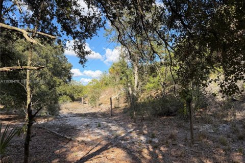 Land in Clewiston, Florida № 1997455 - photo 13