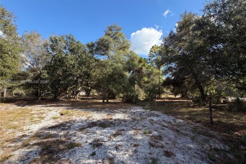 Land in Clewiston, Florida № 1997455 - photo 15