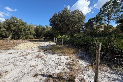 Land in Clewiston, Florida № 1997455 - photo 7