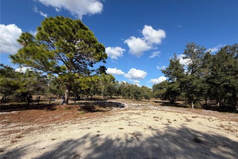 Land in Clewiston, Florida № 1997455 - photo 4