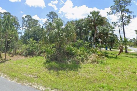 Land in Palm Bay, Florida № 2214021 - photo 2
