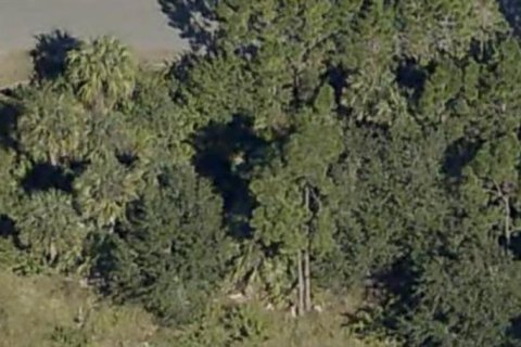 Land in Palm Bay, Florida № 2214021 - photo 6