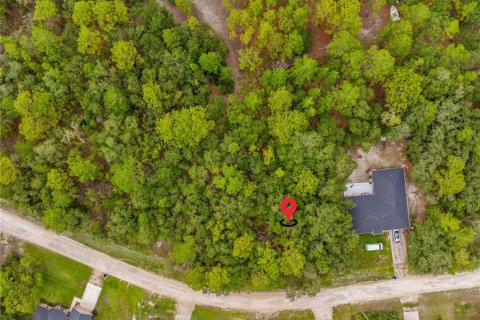 Terreno en venta en Weeki Wachee, Florida № 1815834 - foto 12