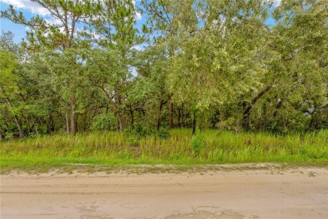 Terreno en venta en Weeki Wachee, Florida № 1815834 - foto 4