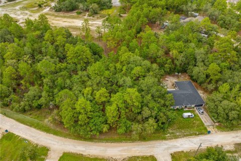 Terreno en venta en Weeki Wachee, Florida № 1815834 - foto 7
