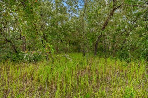 Terreno en venta en Weeki Wachee, Florida № 1815834 - foto 1
