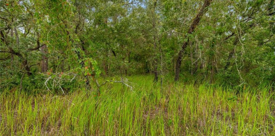 Terreno en Weeki Wachee, Florida № 1815834