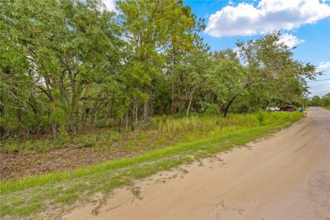 Terreno en venta en Weeki Wachee, Florida № 1815834 - foto 5