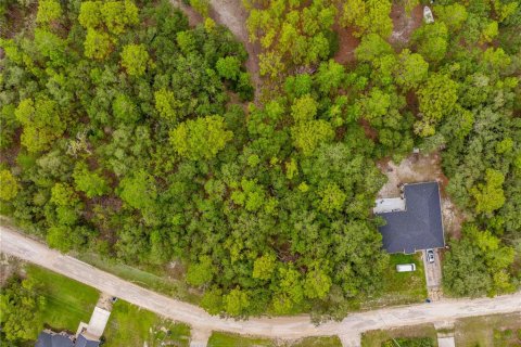 Terreno en venta en Weeki Wachee, Florida № 1815834 - foto 13