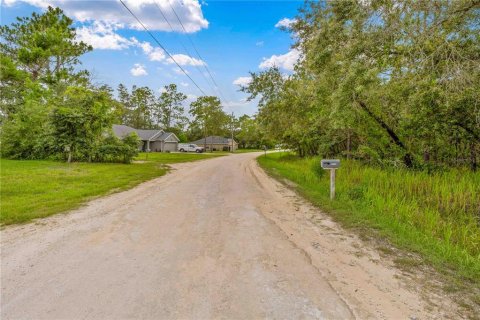 Terreno en venta en Weeki Wachee, Florida № 1815834 - foto 2