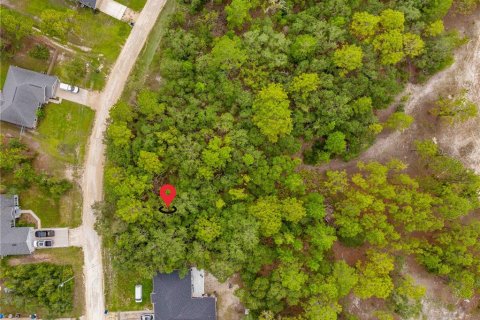 Terreno en venta en Weeki Wachee, Florida № 1815834 - foto 14