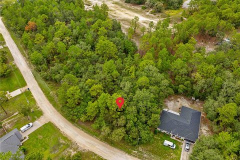 Terreno en venta en Weeki Wachee, Florida № 1815834 - foto 8