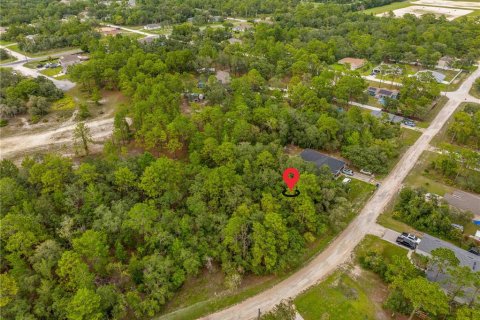Terreno en venta en Weeki Wachee, Florida № 1815834 - foto 10