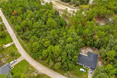 Terreno en venta en Weeki Wachee, Florida № 1815834 - foto 9