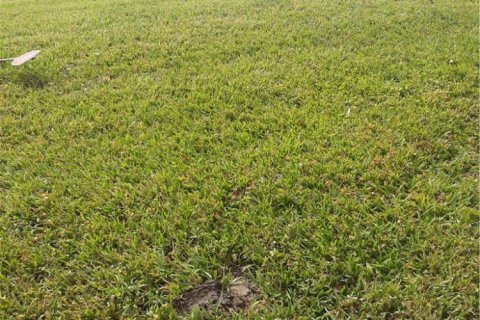 Condominio en alquiler en Tamarac, Florida, 3 dormitorios, 112.41 m2 № 1076046 - foto 1
