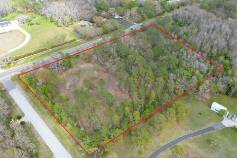 Terreno en venta en Tarpon Springs, Florida № 1516181 - foto 14