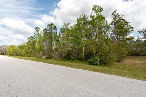 Terreno en venta en Tarpon Springs, Florida № 1516181 - foto 25