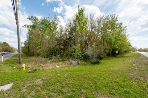 Terreno en venta en Tarpon Springs, Florida № 1516181 - foto 21