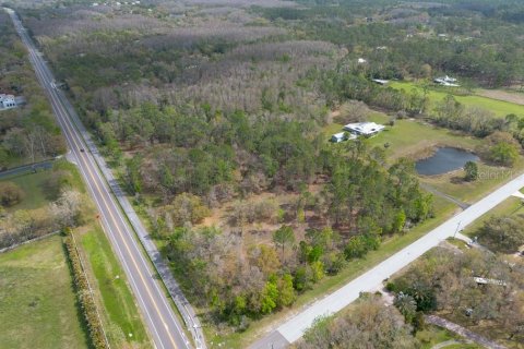 Terreno en venta en Tarpon Springs, Florida № 1516181 - foto 2